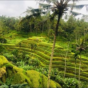 Meet your Posher, Tina